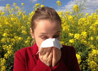 ambrozija-alergija